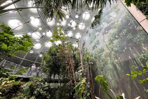 California Academy of Sciences