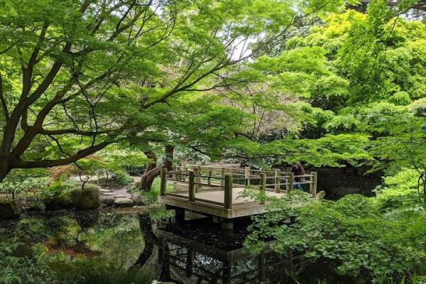 San Francisco Botanical Garden