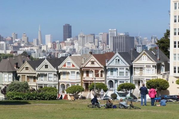 Painted Ladies